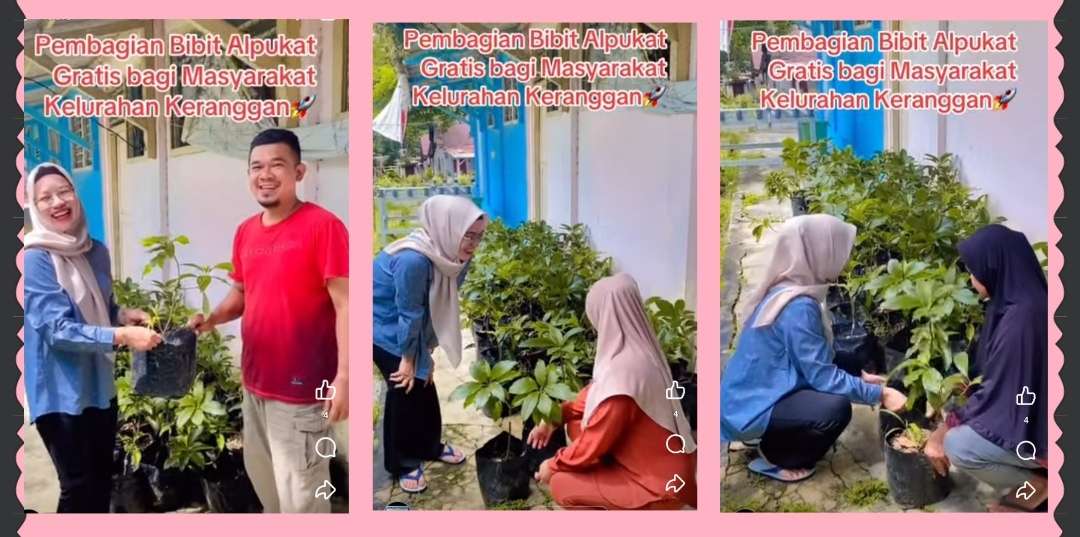 Pembagian Bibit Alpukat gratis bagi masyarakat Kelurahan Keranggan